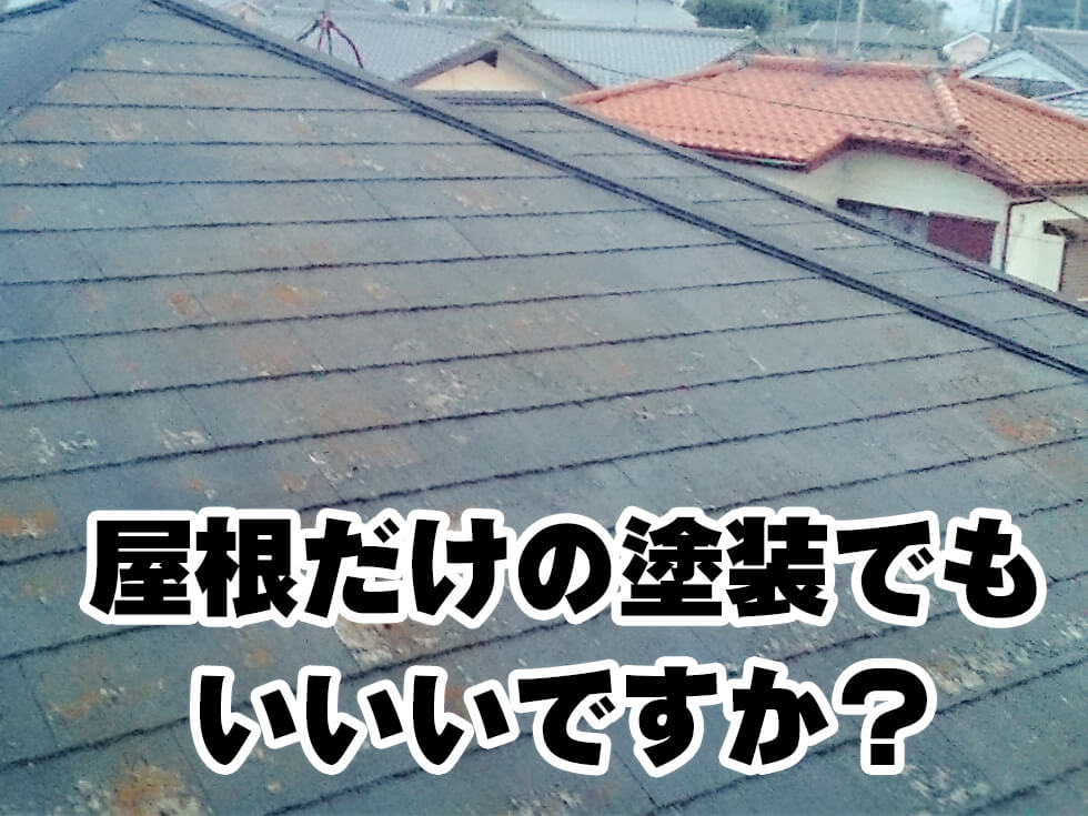 屋根だけの塗装